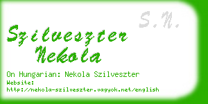 szilveszter nekola business card